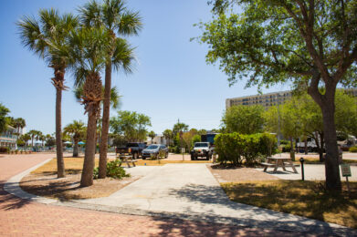 A sunny outdoor park scene with palm trees, a paved walkway, green bushes, picnic tables, and parked vehicles. A tall building is visible in the background under a clear blue sky.