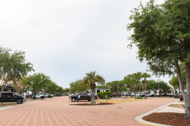 A paved road lined with palm trees and parked vehicles runs through a well-maintained RV park with green grass and trees on both sides under a cloudy sky, offering easy access to nearby condo rentals.