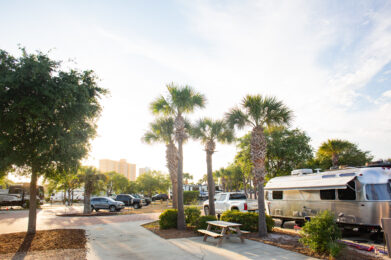 Palm trees and RVs are parked in a sunny, well-maintained campground with clear skies. A picnic table sits near a sidewalk, and tall buildings are visible in the distant background.