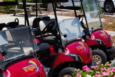 Three red golf carts with "Panama City Beach RV Resort" logos are parked side by side outdoors. Pink flowers are in the foreground, and picnic tables and trees are visible in the background.