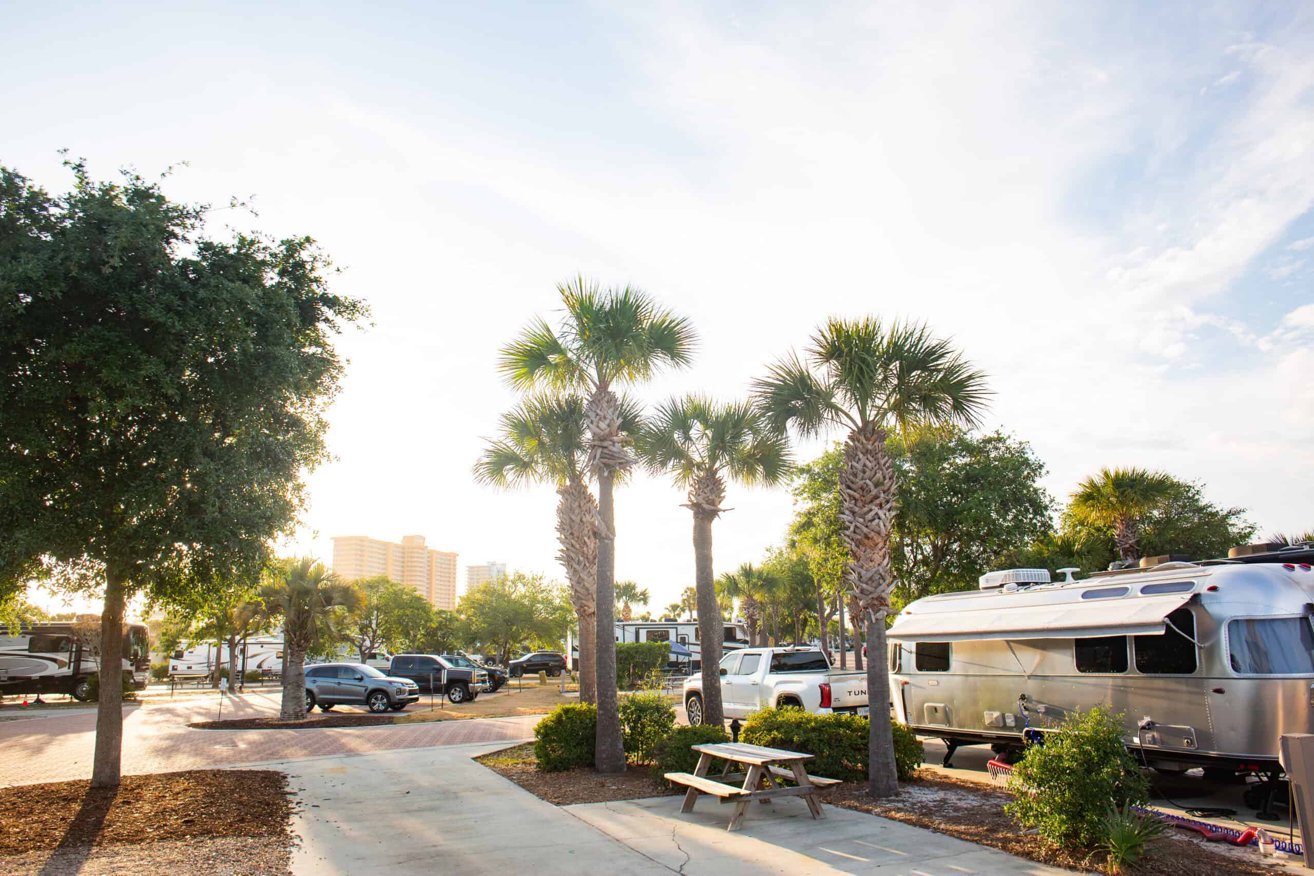 RV park with palm trees, picnic table, and parked trailers under a bright sky. Buildings are visible in the distant background.
