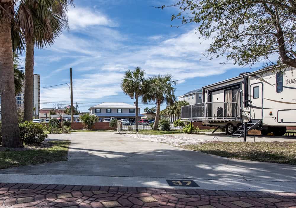 Empty RV parking site with concrete pad, surrounded by palm trees and shrubs, an RV is parked to the right, with buildings visible in the background under a blue sky.
