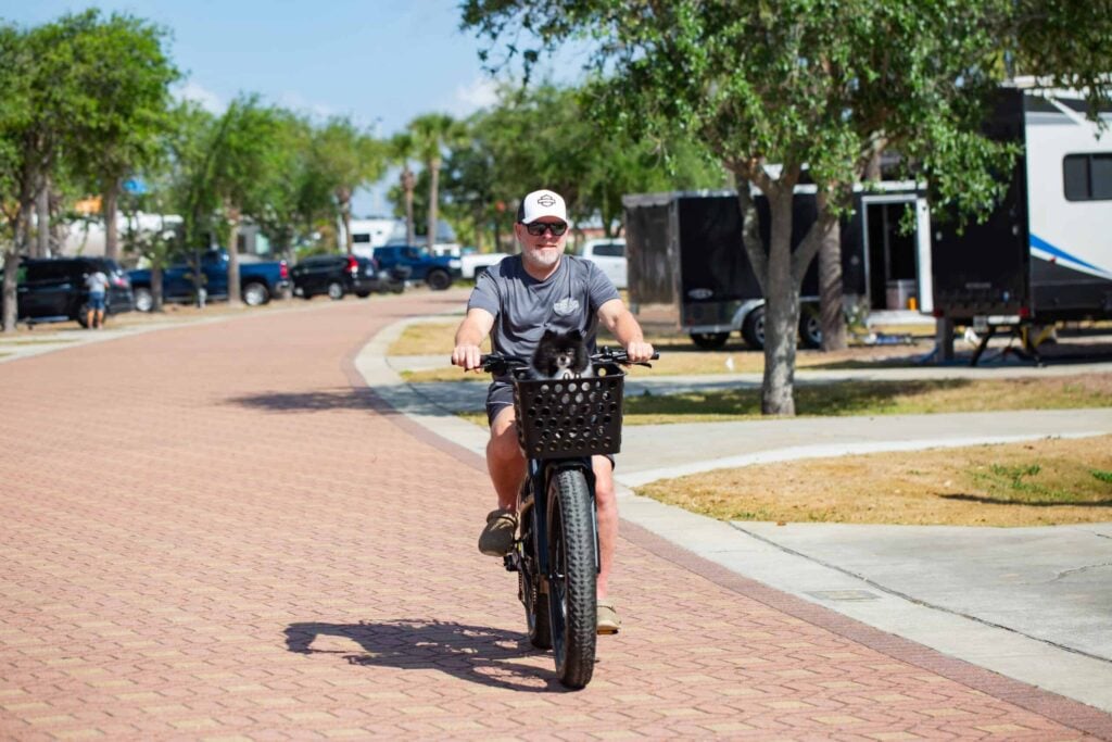 Man rides a bicycle on a paved path with a small black dog sitting in a front basket. Trees, grass, and parked vehicles are visible in the background.
