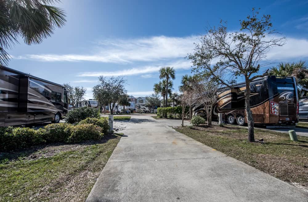 A concrete RV parking pad is flanked by trees and shrubs, with large RVs on both sides and clear blue sky overhead.