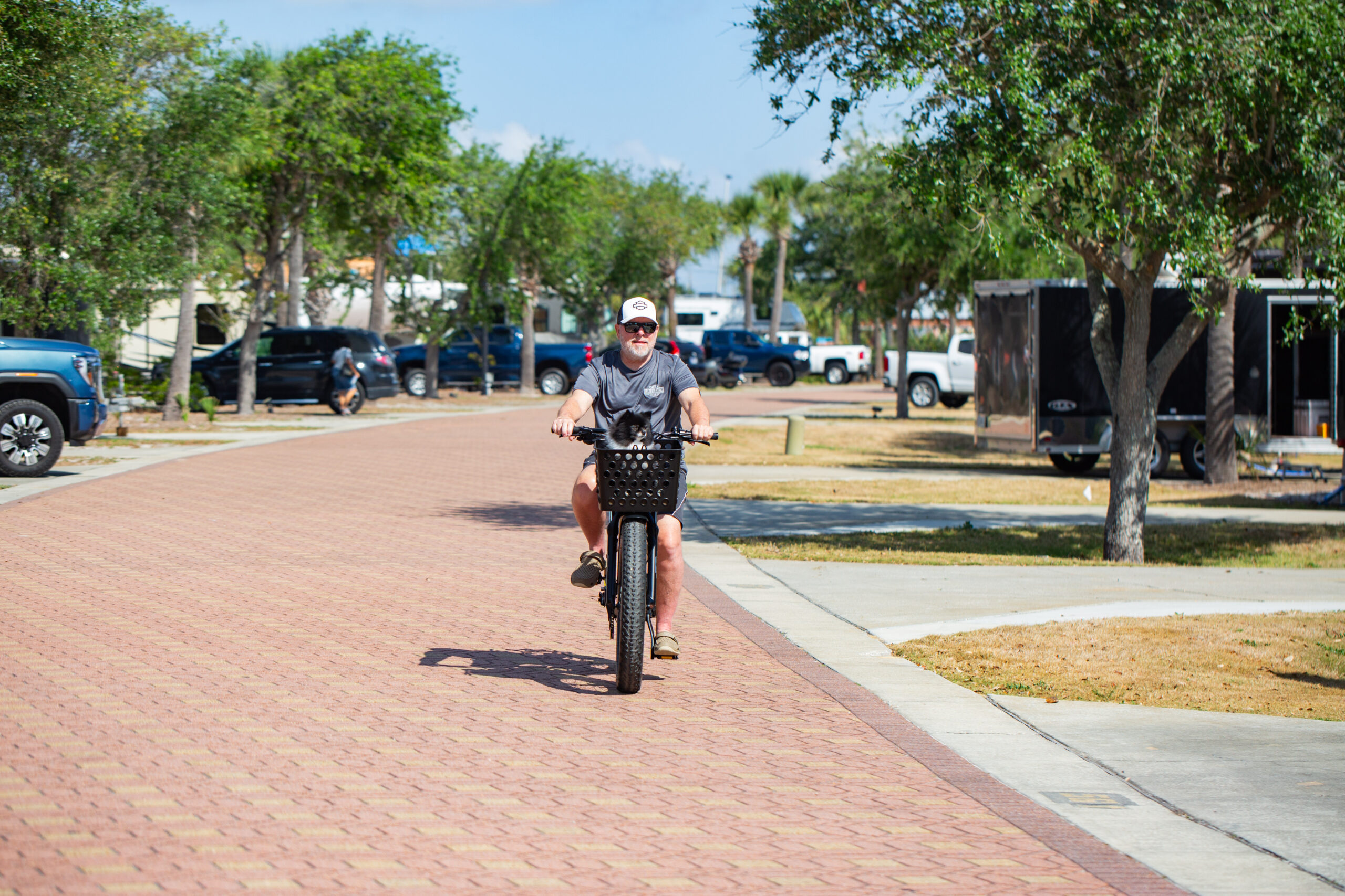 A man wearing a baseball cap rides a bicycle with a small dog in the front basket along a brick path in an RV park.